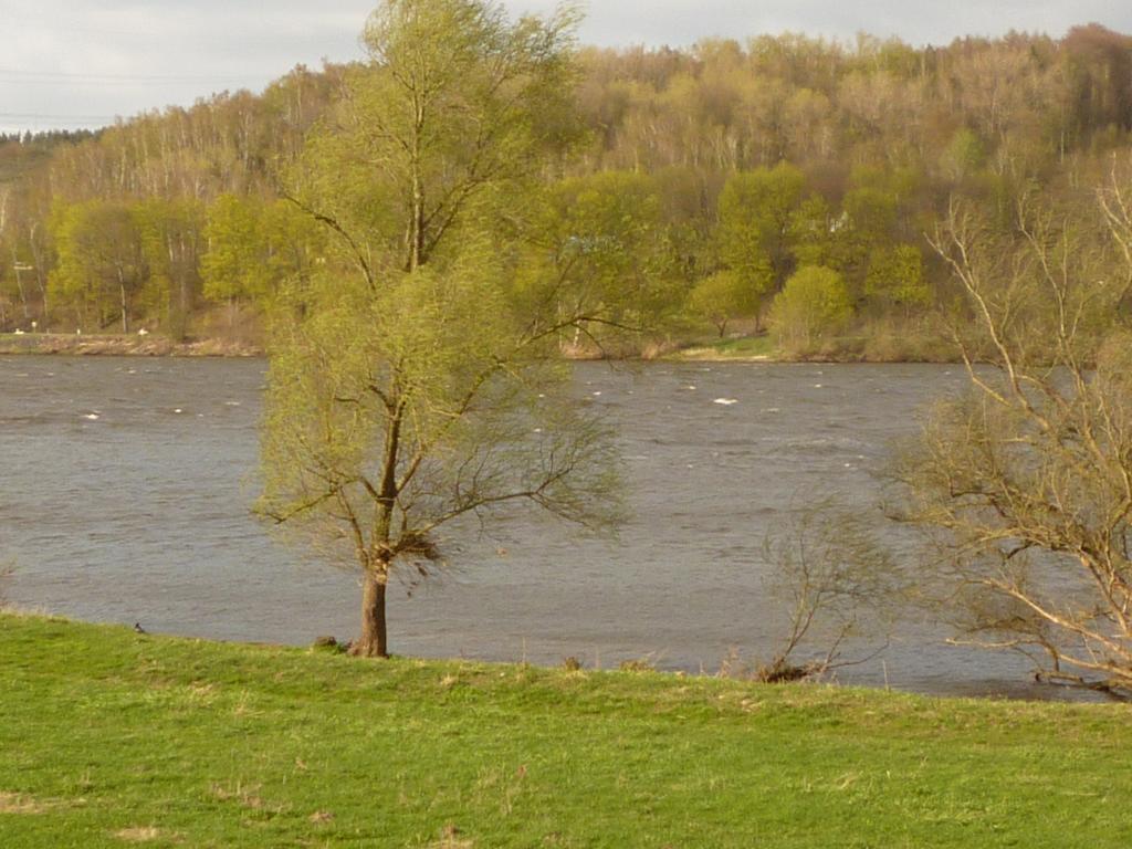 Elbe-Ferien 2 Tespe Quarto foto